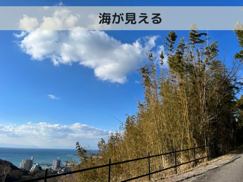 海のしょうげつ　看板